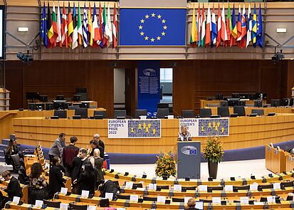 EU Parliament, flags, screens and auditorium