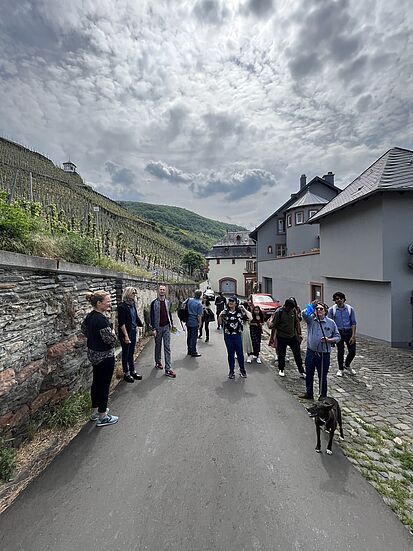 Studierende wandern durch die Weinlandschaft am Rhein