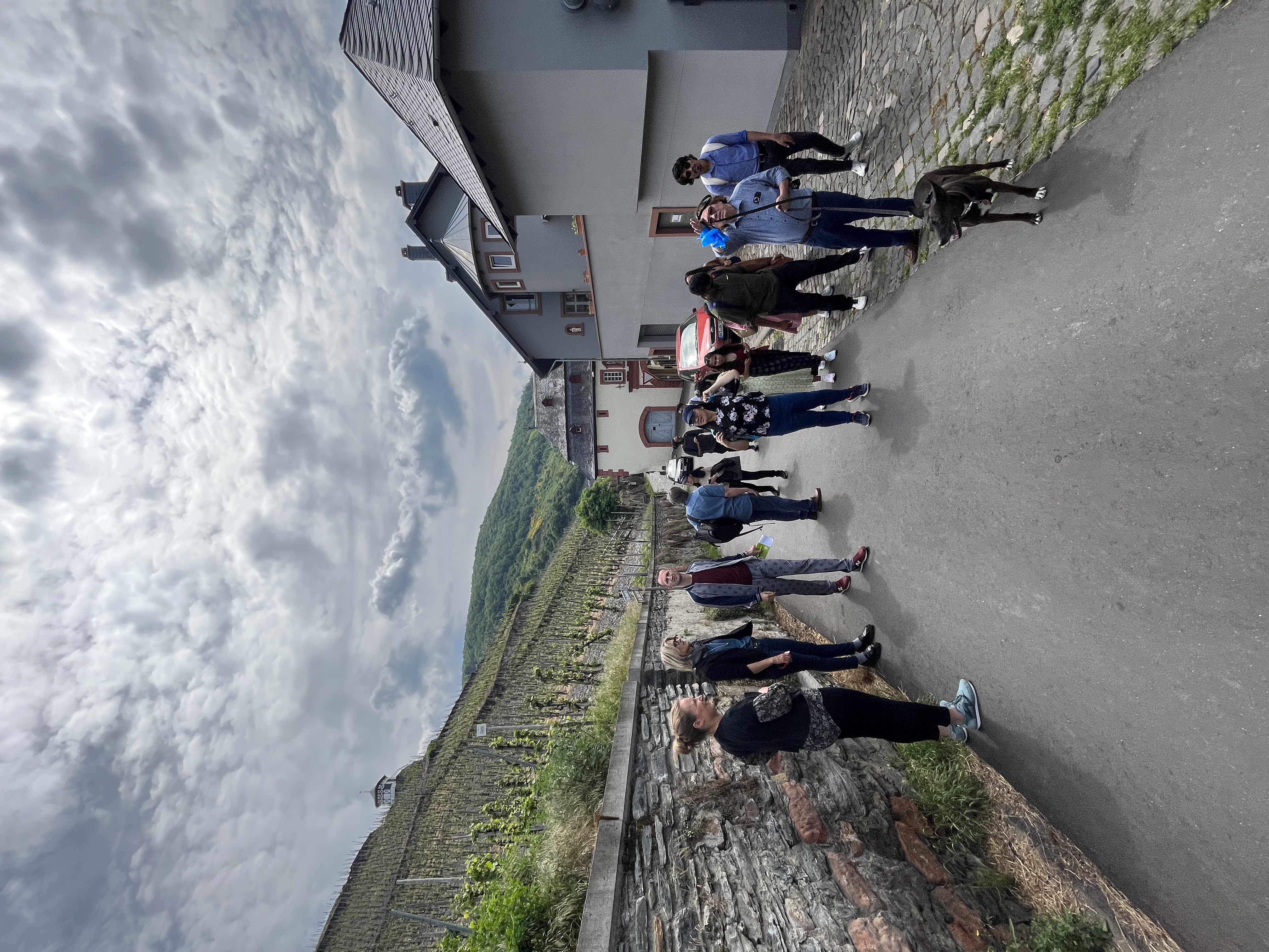 Studierende wandern durch die Weinlandschaft am Rhein